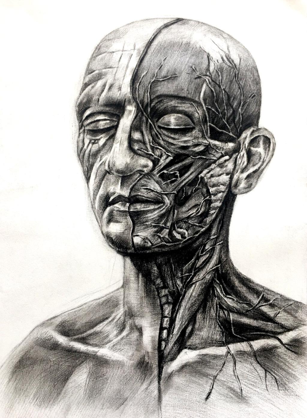 优秀的作品还有很多,大家充分发挥了自己的特长,素描,水彩,漫画等各种